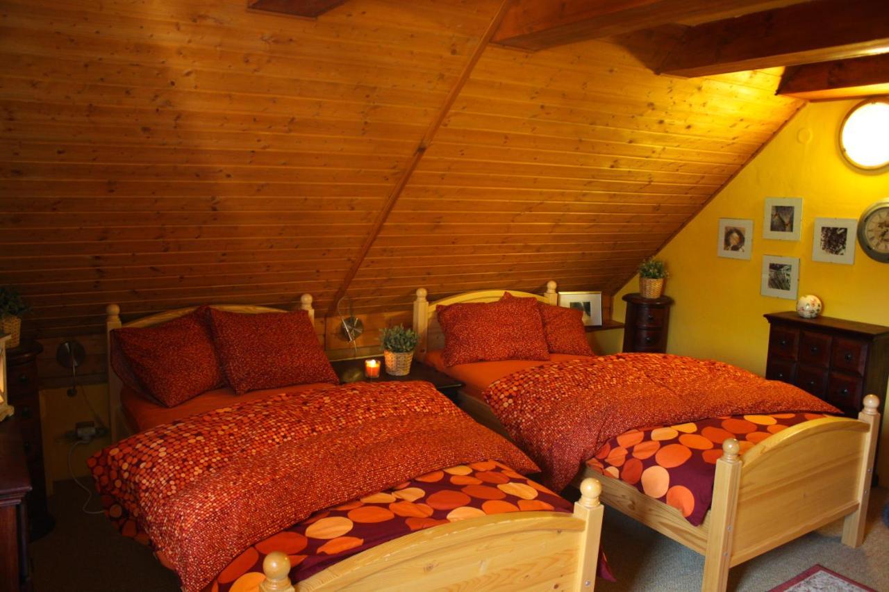 Apartmany U Kaplicky Kamyk nad Vltavou エクステリア 写真