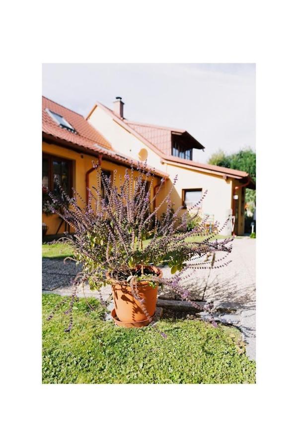 Apartmany U Kaplicky Kamyk nad Vltavou エクステリア 写真